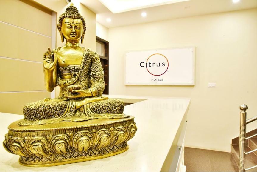 Citrus Classic Mcleodganj Дхарамсала Екстериор снимка